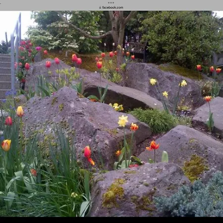Doppelzimmer Mit Wasserbett Winningen