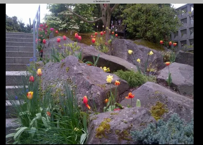 Doppelzimmer Mit Doppelbett Und Zusaetzlicher Einzelner Schlafgelegenheit Winningen